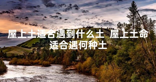 屋上土适合遇到什么土  屋上土命适合遇何种土